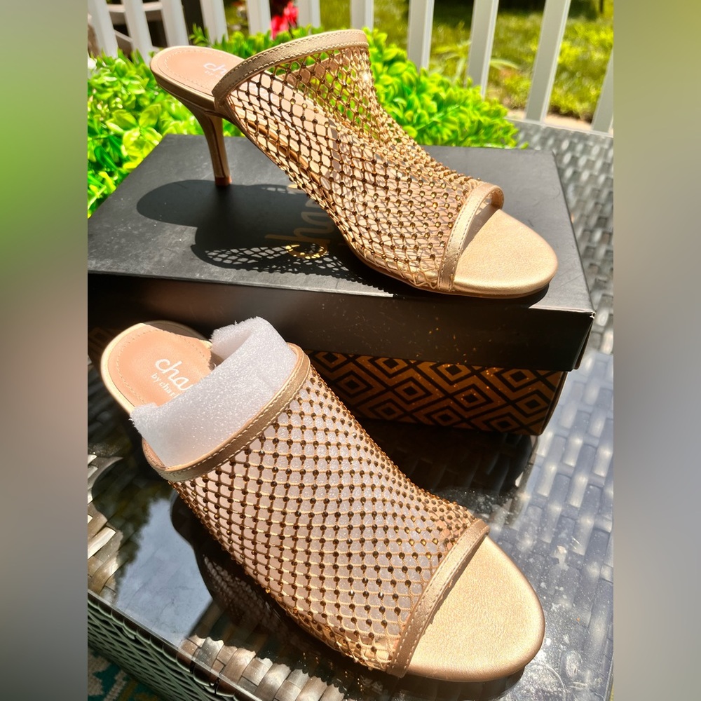Brand new, never been worn exceptionally fashionable. Charles David Mules